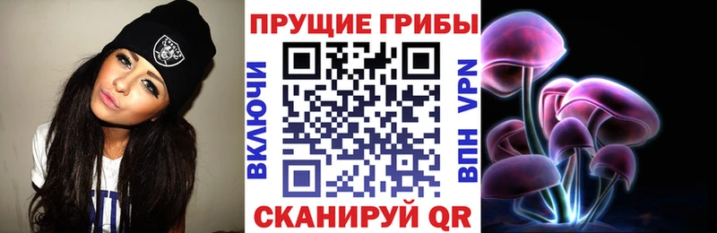 Купить  Кимры  Галлюциногенные грибы MAGIC MUSHROOMS 