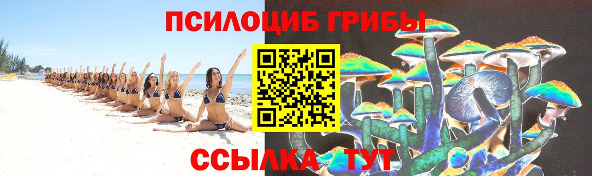 Галлюциногенные грибы Psilocybe Кимры