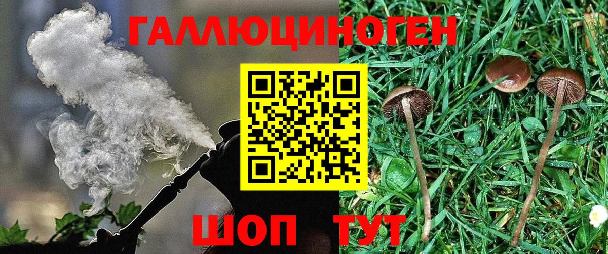 Кимры  Псилоцибиновые грибы Psilocybe  Вход с VPN 
